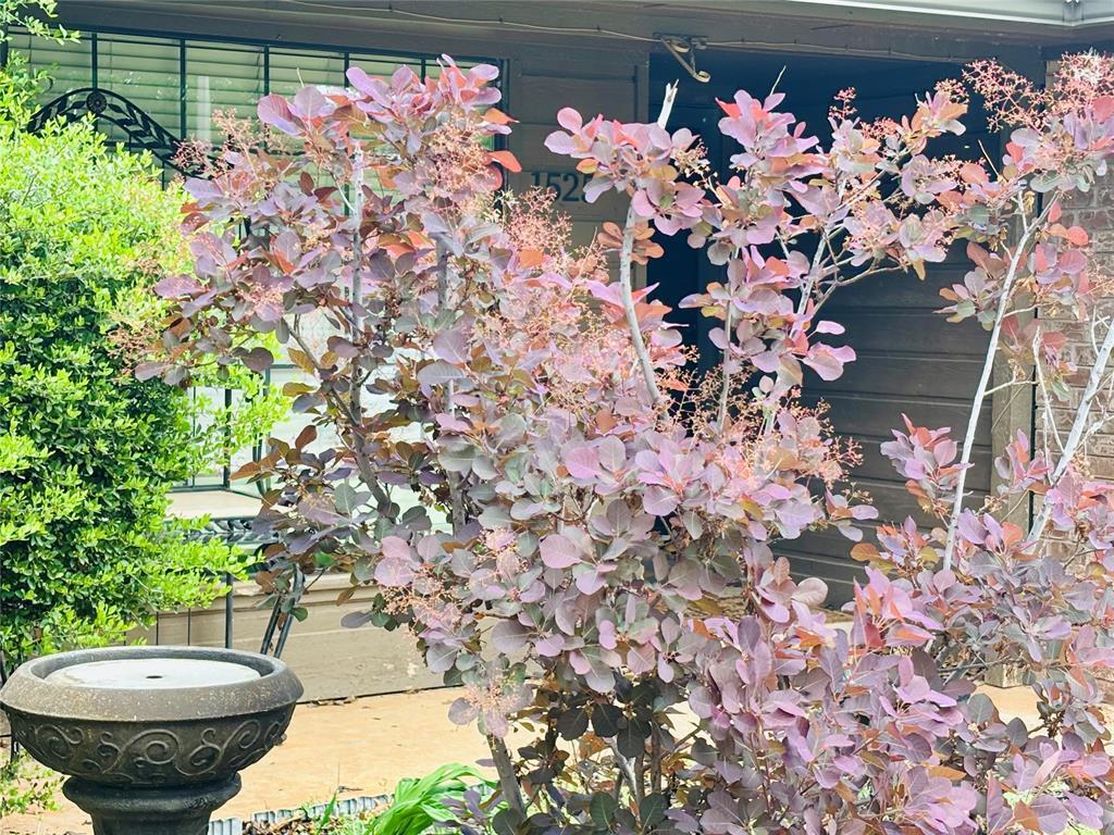 Building Photo - 1525 Davinbrook Dr