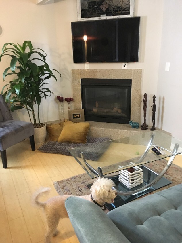 128 Apartments For Rent In Manhattan Beach Ca Westsiderentals Manhattan Beach Apartments