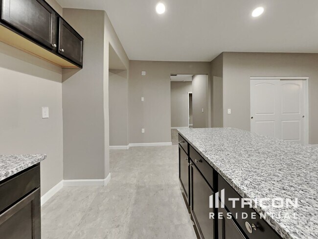 Building Photo - 30376 W Sheila Lane Buckeye AZ