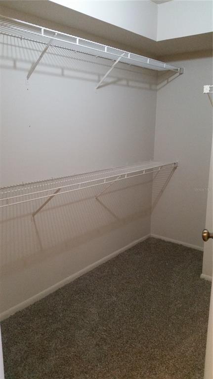 Foto del edificio - 486 N Pin Oak Pl