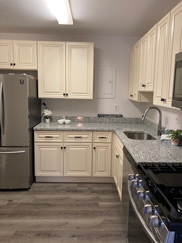 Newly renovated new cabinets, counters, floor, appliances! - 200 N Maple Ave