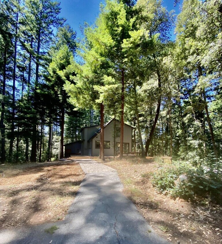101 Laughing Cow Rd, Woodside, CA 94062 House for Rent in Woodside