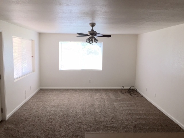 Building Photo - 3 Bedroom Lakewood Duplex