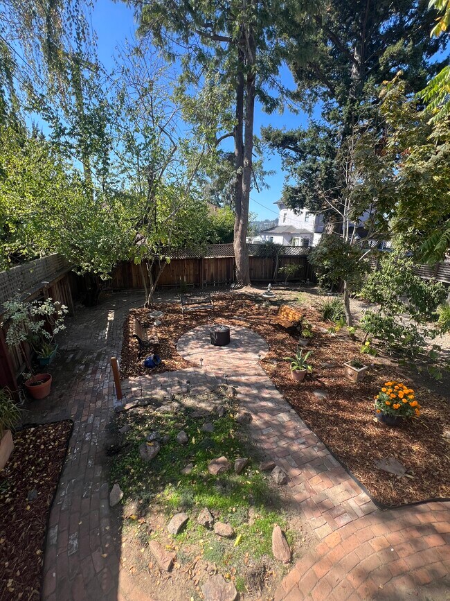 Shared back yard - 517 Ocean View Ave