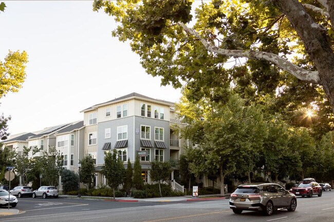 Foto del edificio - Madera