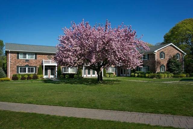 Primary Photo - 60 Horseblock Rd