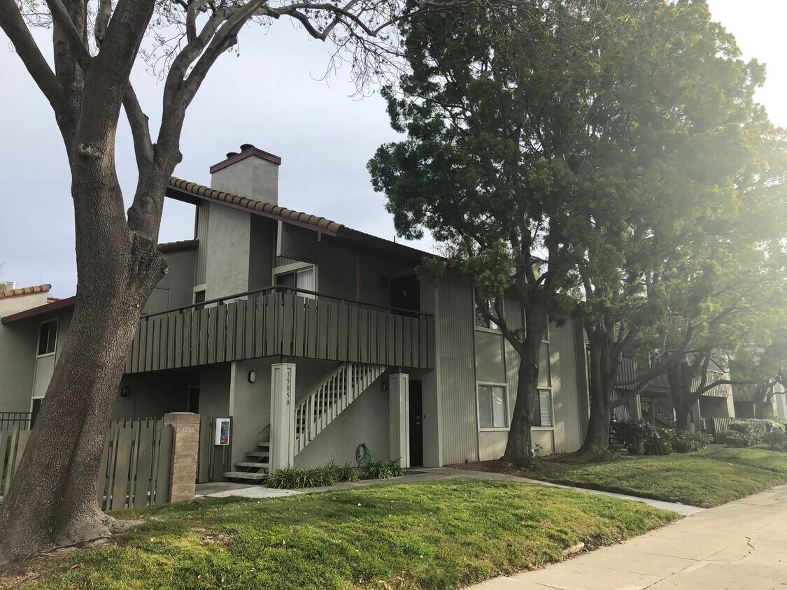 Primary Photo - Updated 2 bedroom 2 bath condo with easy a...