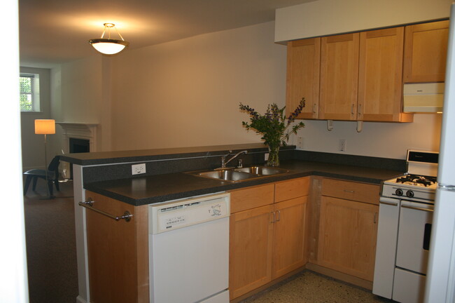 Kitchen open to dining/living space - 2935 N Charles St