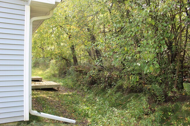Backyard - 1236 Salem Dr