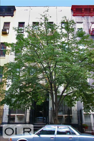 Foto del edificio - 411 E 85th St
