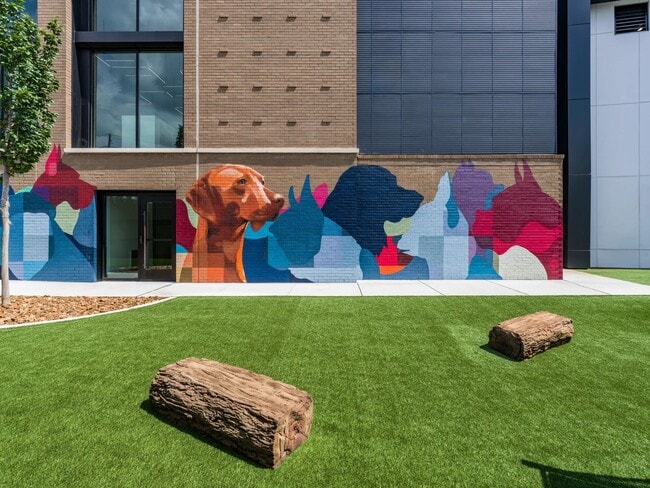 Colorful art meets community connection in this fenced dog park with turf, agility features, and a vibrant mural backdrop. - Modera SoBro