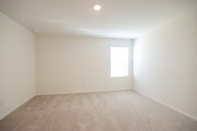 Foto del edificio - 10706 Lavender Cotton Ln