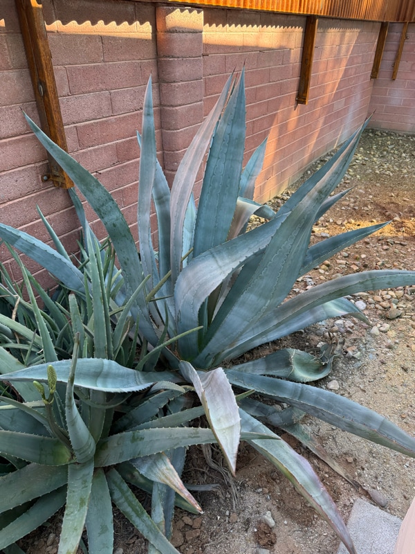 Photo - 5564 E Camden St (Tucson, AZ)