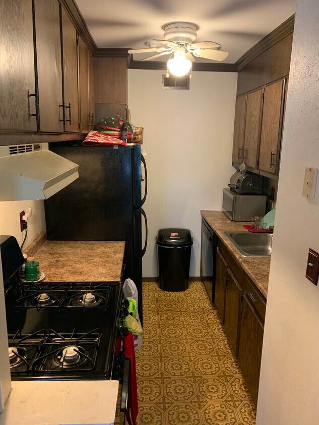 Kitchen - 67 Artist Lake Dr