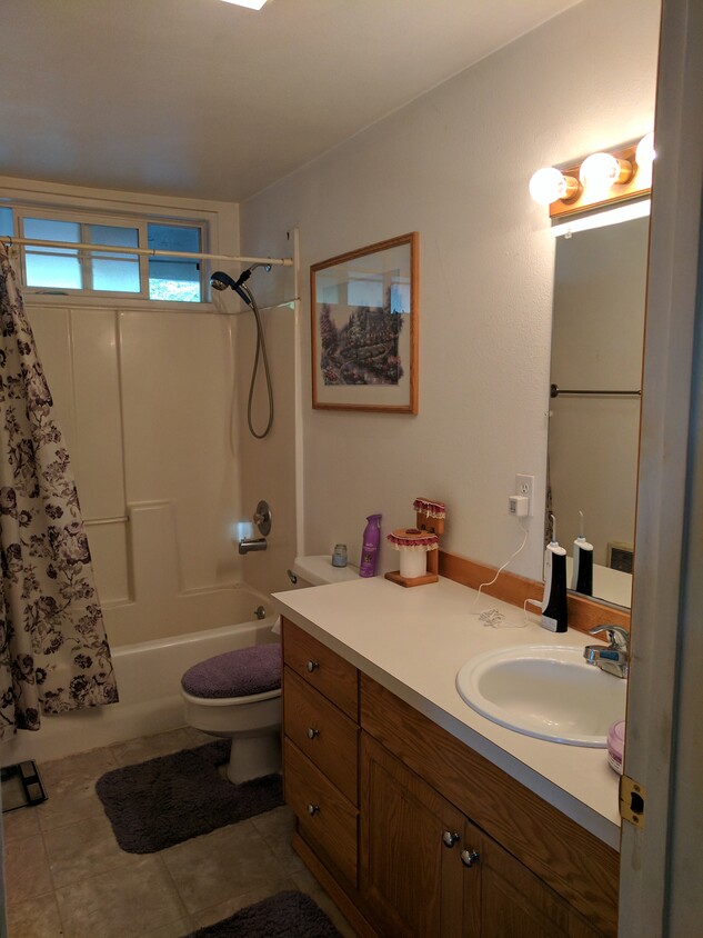 Bathroom - 13823 250th St E