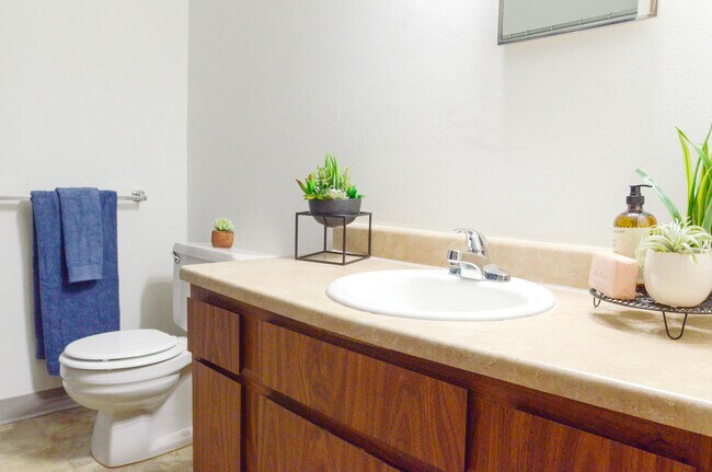Cuarto de baño principal - Mallard Cove Apartments