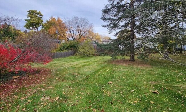 Foto del edificio - Charming 3-Bedroom Home with Large Backyard For Rent!