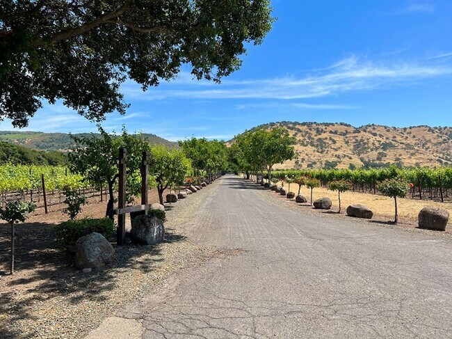 Building Photo - Beautiful Gated Yountville Home Surrounded...