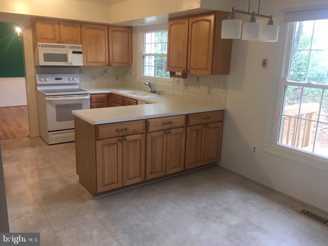 Building Photo - 10733 Bear Oak Ct