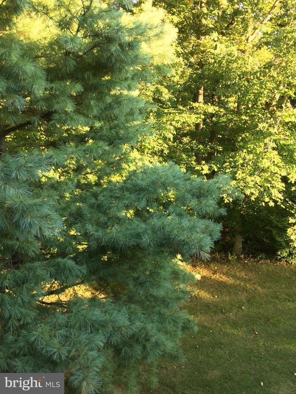 Foto del edificio - 5761 Rexford Ct