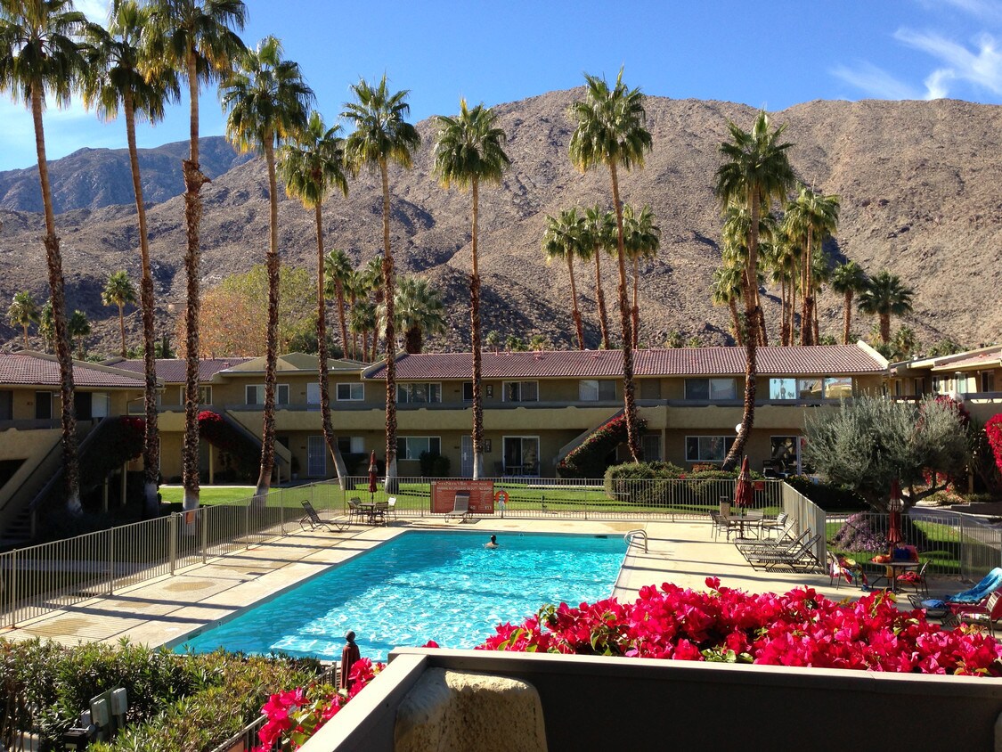 View from Front Balcony - 1950 S Palm Canyon Dr
