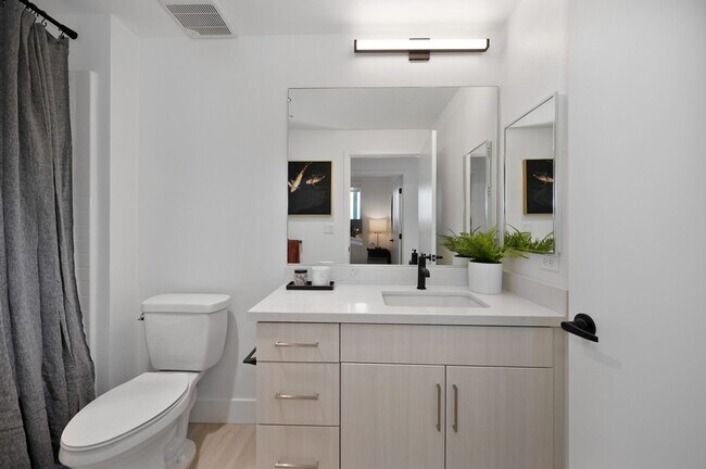 Interior Photo - Begonia Place Luxury Apartments
