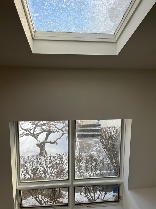 Vaulted Ceiling Skylight - 281 Browertown Rd