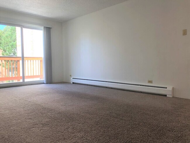 Building Photo - Water and Gas Included in Denver Condo
