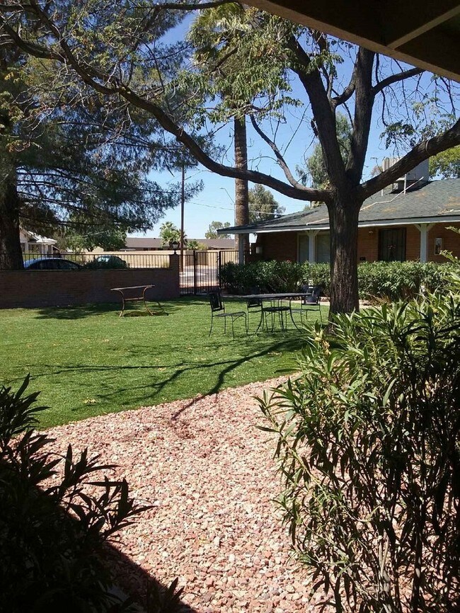 Foto del edificio - 1 BR  1 BA 19th Ave & Indian School Rd.