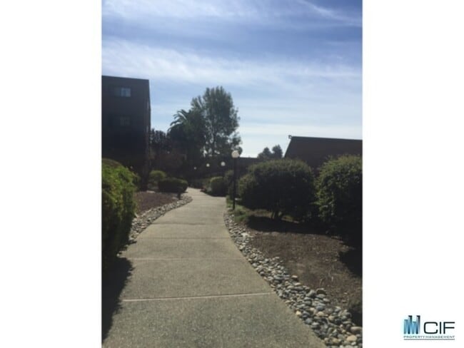 Building Photo - 320 Soquel Ave
