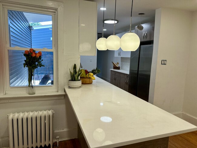Renovated kitchen with stainless steel appliances, original wood floors, and ample storage. - 328 High St