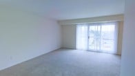 This single-floor space features a spacious, open living area designed with simplicity and functionality in mind. The room is finished with neutral-toned walls and soft wall-to-wall carpeting, creating a clean and understated aesthetic throughout. A notable highlight is the large sliding glass door that spans a generous portion of one wall, dressed with vertical blinds that allow for flexible light control. The door provides direct views of the outdoors, where surrounding greenery and neighboring structures are visible, lending the interior a connection to the outside environment. Natural light filters generously through the glazed panels, brightening the interior and enhancing the sense of openness. The ceiling is smooth and uniform, contributing to the room's uncluttered appearance. The overall layout offers a versatile, move-in-ready canvas well-suited for a variety of furnishing arrangements. The combination of ample natural light, neutral finishes, and access to outdoor views gives the space a calm and welcoming ambiance.