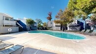 Located at 2405 Walnut Ave in Carmichael, California, this outdoor pool area serves as a central communal amenity within a residential community. The centerpiece is a generously sized freeform swimming pool with clear, blue-green water, designed with sweeping curved edges that create an inviting, resort-like aesthetic. The pool is surrounded by a broad concrete sun deck that provides ample space for lounge chairs and outdoor furniture, making it well-suited for relaxation and recreation.

The area is enclosed by a sturdy wrought-iron perimeter fence, ensuring privacy and security for residents. A poolside structure, finished in a muted blue-gray board-and-batten siding, is visible along one edge and appears to serve as a utility or equipment building. Seating areas with lounge chairs and a shaded umbrella station are positioned around the deck, offering comfortable spots to enjoy the California sunshine.

Mature deciduous and evergreen trees frame the space, providing natural shade and a lush, green backdrop that softens the surrounding multi-story residential buildings. The buildings themselves feature a contemporary board-and-batten exterior in neutral gray tones. Under the clear blue skies typical of the Sacramento-area climate, this pool area presents a bright, welcoming outdoor retreat well-suited to warm-weather enjoyment.