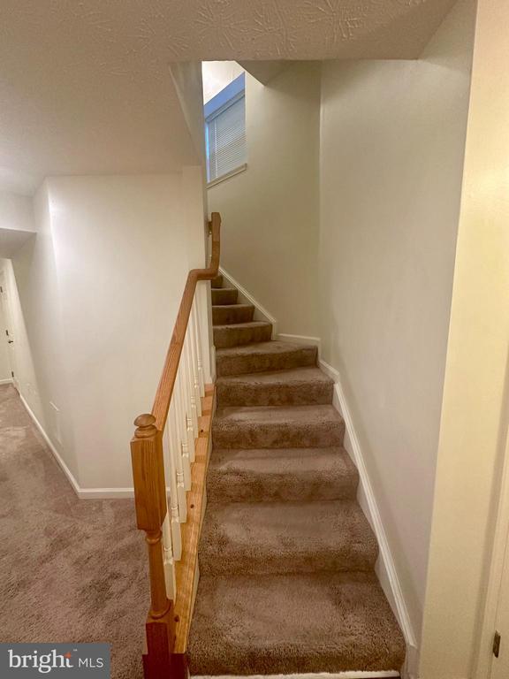 Foto del edificio - 7216 Mockingbird Cir