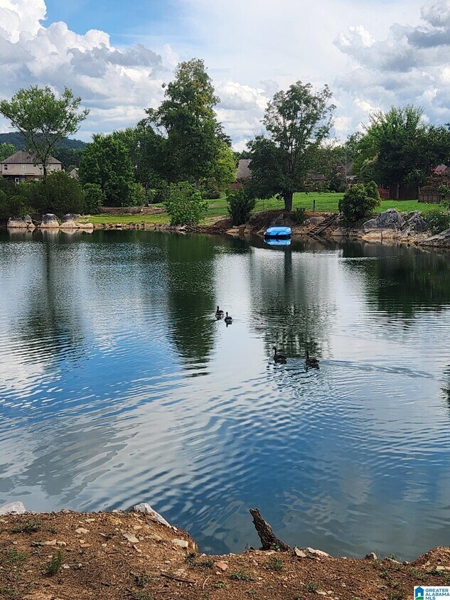 Foto principal - 342 Creekside Ln