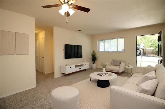 Building Photo - 3504 Bahamas Dr