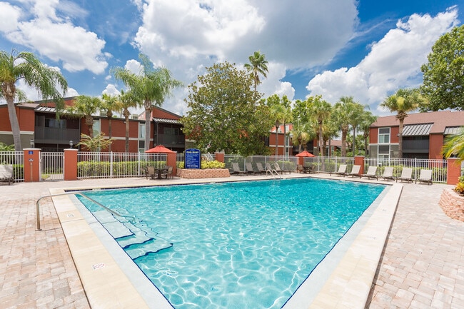 Swimming Pool - Coconut Palms