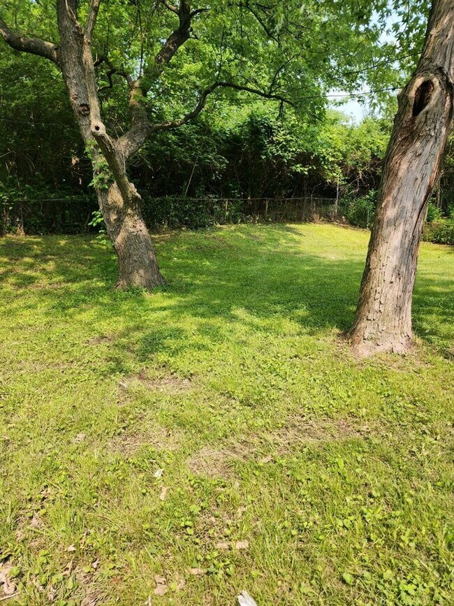 Photo - 2537 Tyrell Dr House