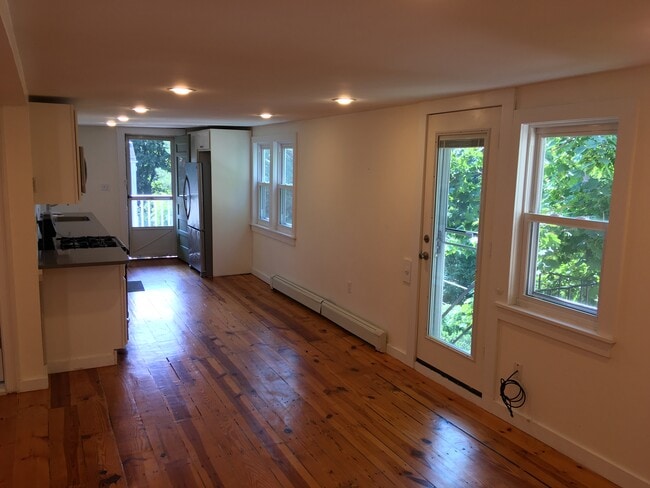 Leafy view - 286 Brookline St