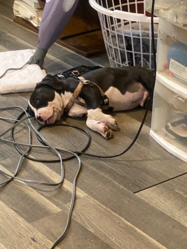 Foto principal - 4725 Colemont Pl