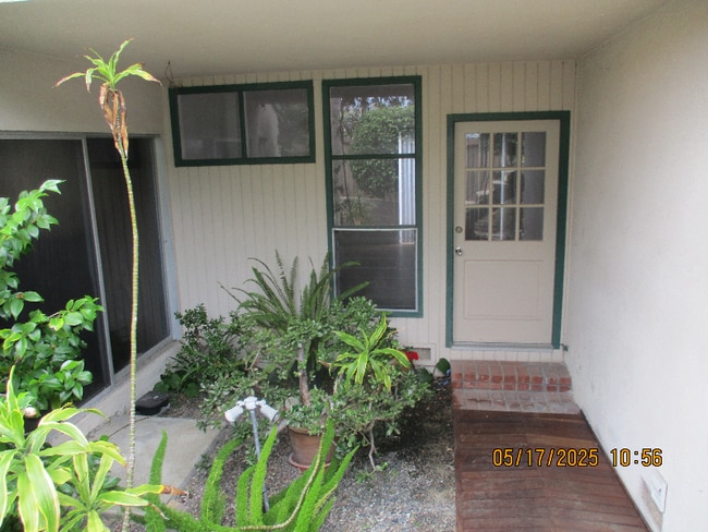 Building Photo - 243 Avenida Pelayo