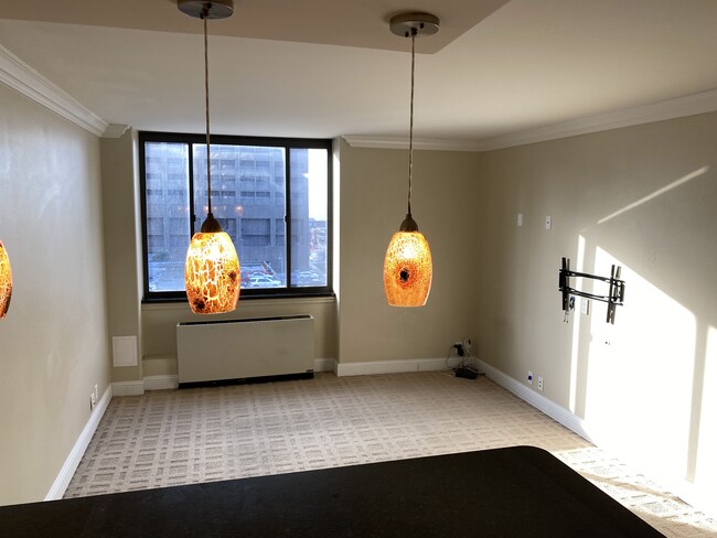 Unit Living Room - 700 E 8th St