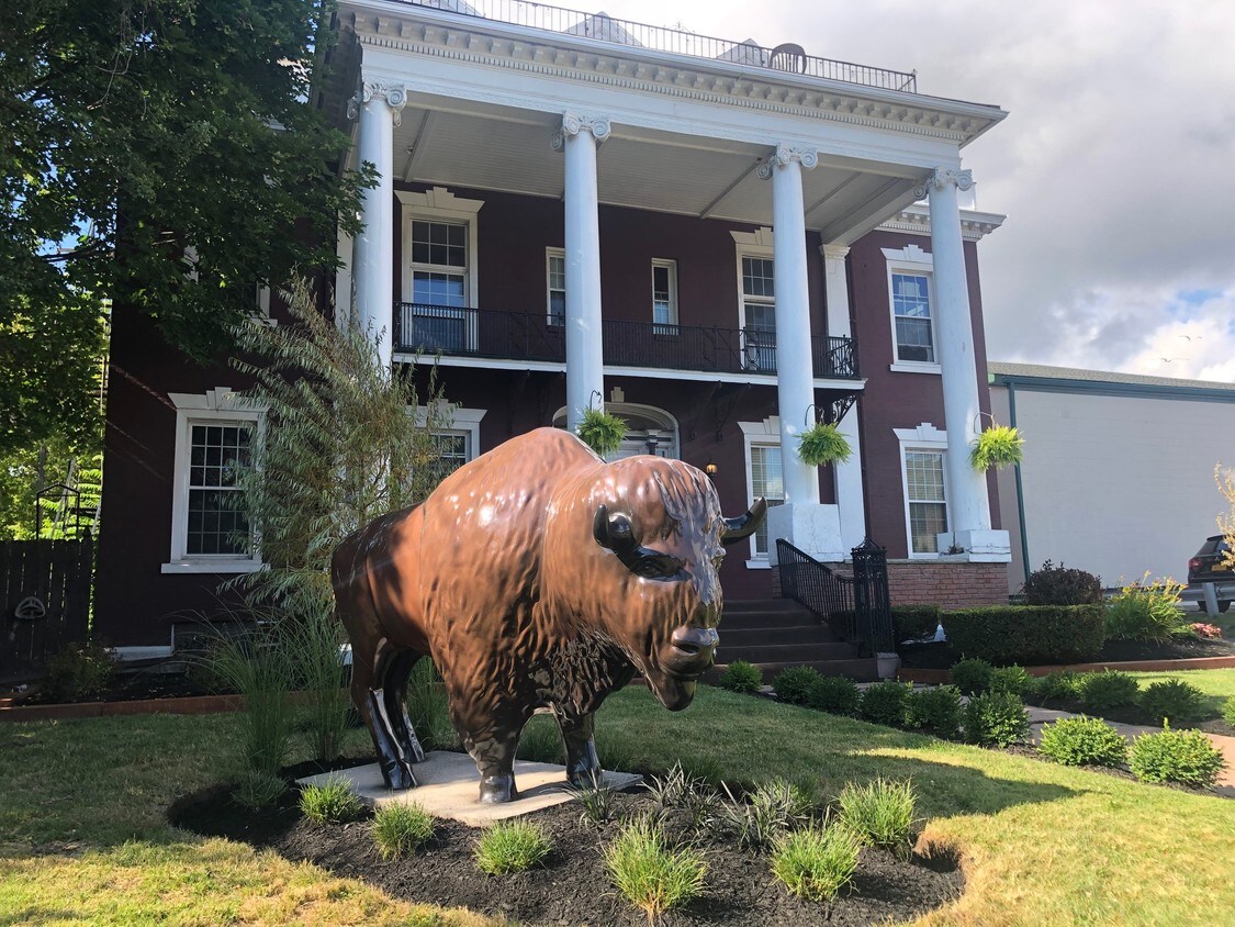 Elmwood Village Apartments Apartments Buffalo, NY