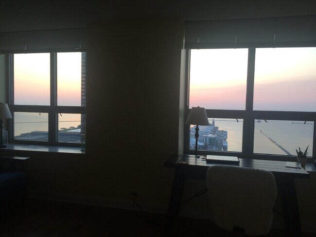 View from living space - 474 N Lake Shore Dr