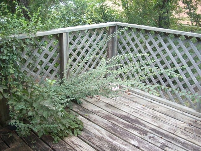 Foto del edificio - 9 Montclair Ct