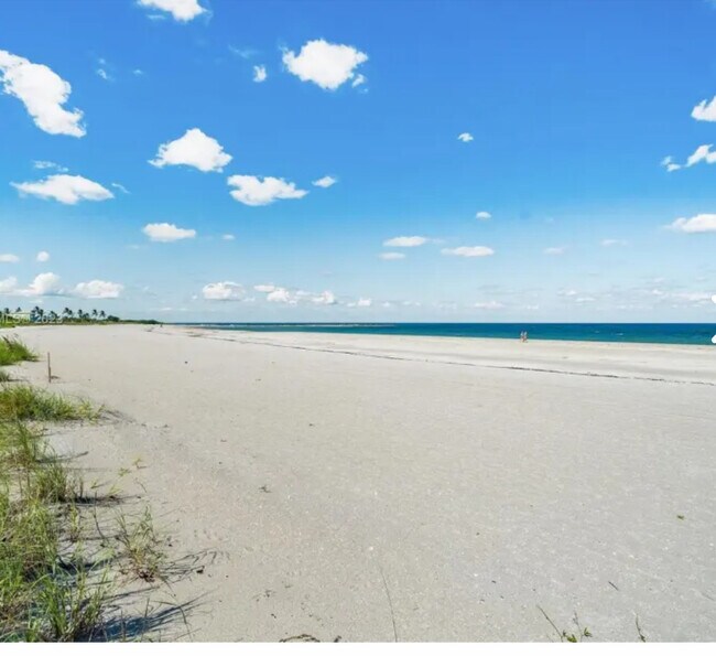 Beautiful ocean views - 355 S Ocean Dr