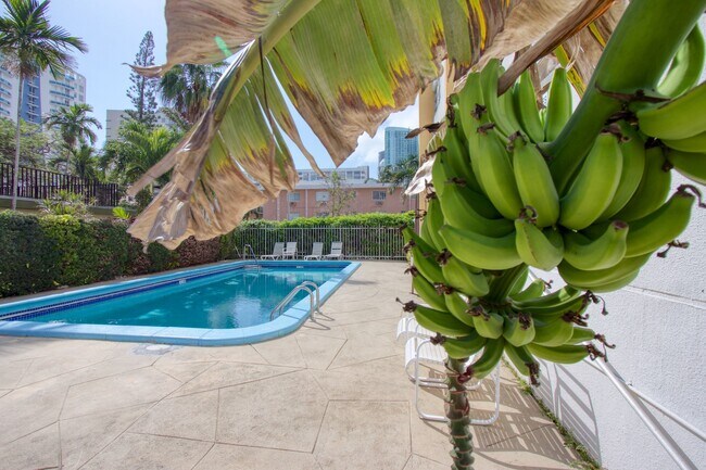 Foto del edificio - 435 NE 23rd St