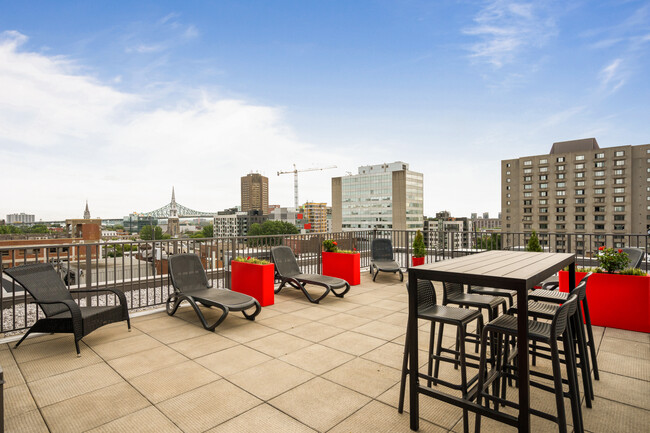 Building Photo - Neuf Cents Apartments for rent