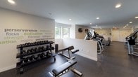 This modern fitness center is designed to provide a comprehensive workout experience within a clean, well-organized single-level space. The facility features durable rubber flooring throughout, recessed ceiling lighting, and large windows that invite natural light and offer views of the surrounding greenery, creating an energizing atmosphere for exercise.

The cardio zone is well-stocked with multiple treadmills and elliptical machines, each equipped with individual display screens. Wall-mounted televisions are positioned for convenient viewing during cardio sessions. A dedicated free weights area features a full rack of dumbbells alongside adjustable weight benches, catering to a range of strength training needs. The strength training section also includes a multi-function cable and resistance machine, offering versatility for full-body workouts.

A standout design element throughout the space is the typographic wall art, featuring motivational words and phrases — such as "dedication," "limitless," "motivation," "perserverence," and "fitness" — rendered in green and gray tones across multiple walls. This graphic treatment adds personality and visual energy to the environment. Additional amenities include a small storage cabinet, a waste station, and a paper towel dispenser, ensuring the space remains tidy and functional. Overall, the fitness center strikes a balance between practicality and motivating design.