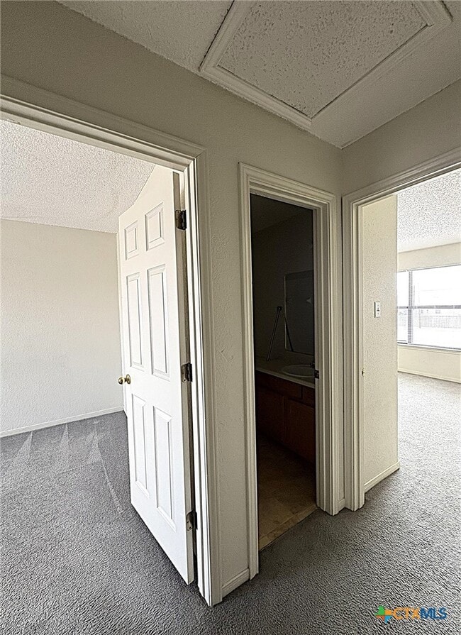 Building Photo - 1307 Monroe Loop